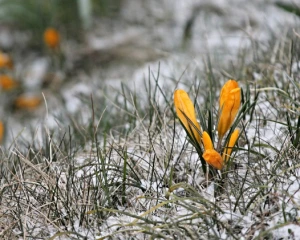 В Україну йде похолодання з мінусовою температурою
