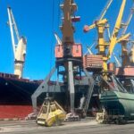 З України хотіли нелегально вивезти важливу сільгоспкультуру на $2 млн: які схеми застосували
