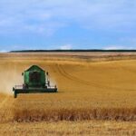 Зарплати до 30 тис. грн і бронювання: у якій галузі українцям пропонують такі умови